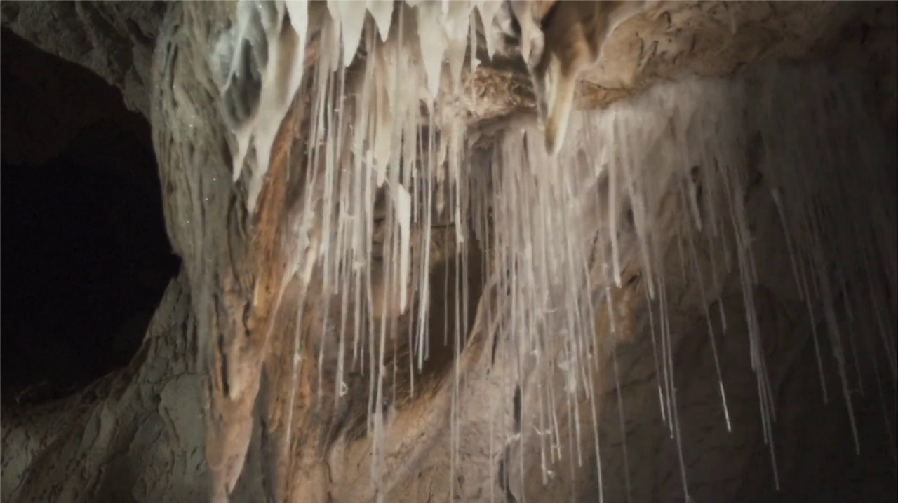 Cave of Forgotten Dreams screenshot 3