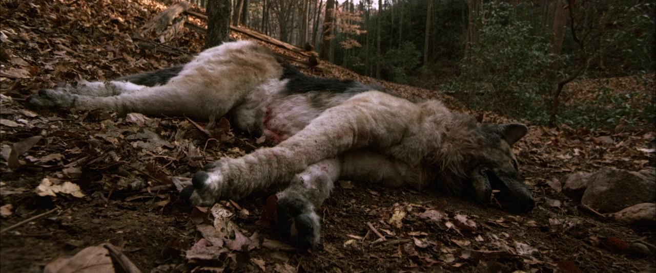 Cabin Fever screenshot 2