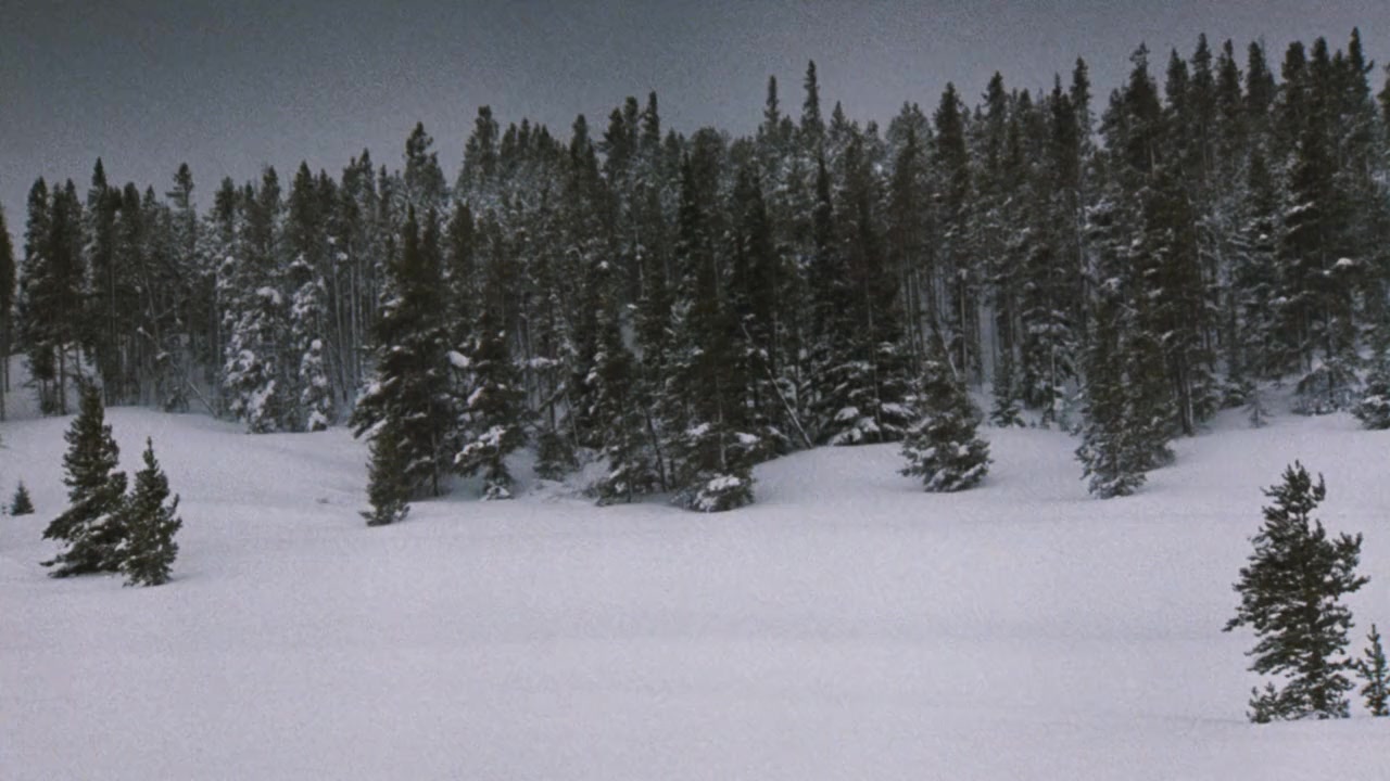 National Lampoon's Christmas Vacation screenshot 1