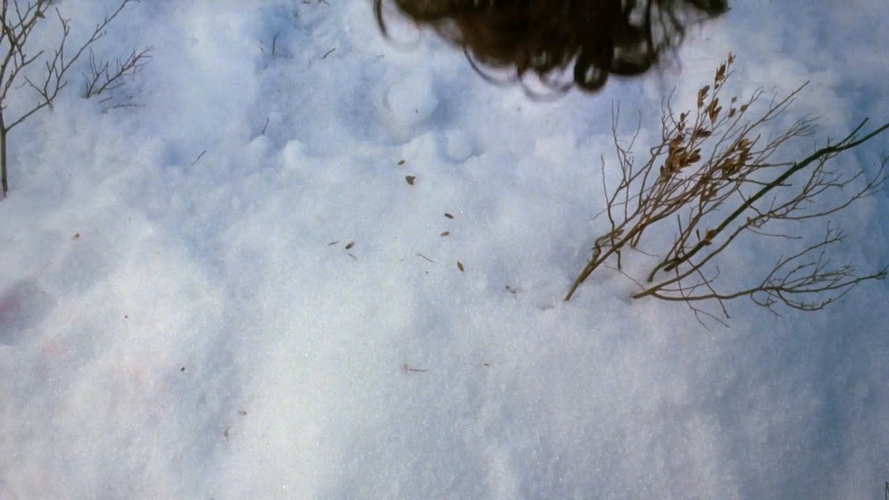 Curtains screenshot 2