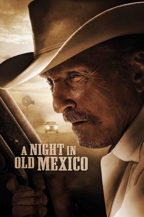 A Night in Old Mexico (2013) poster