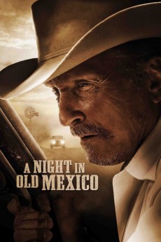 A Night in Old Mexico (2013) poster
