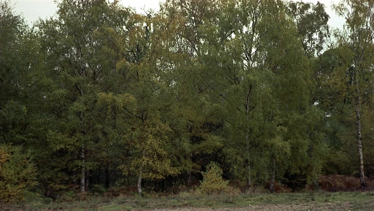 And Now for Something Completely Different screenshot 1