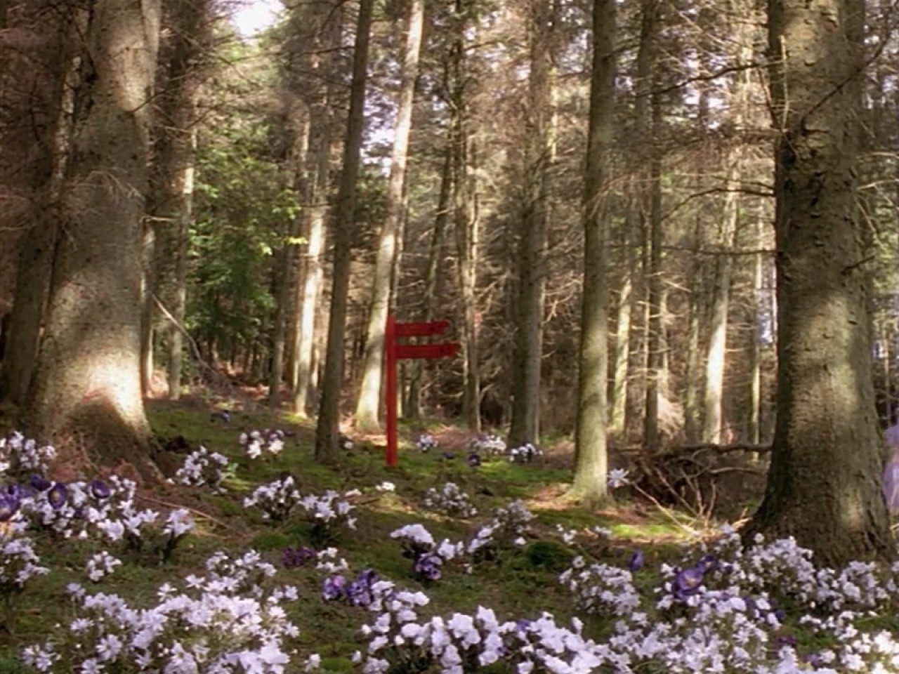 Alice Through the Looking Glass screenshot 1