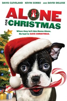Alone for Christmas (2013) poster