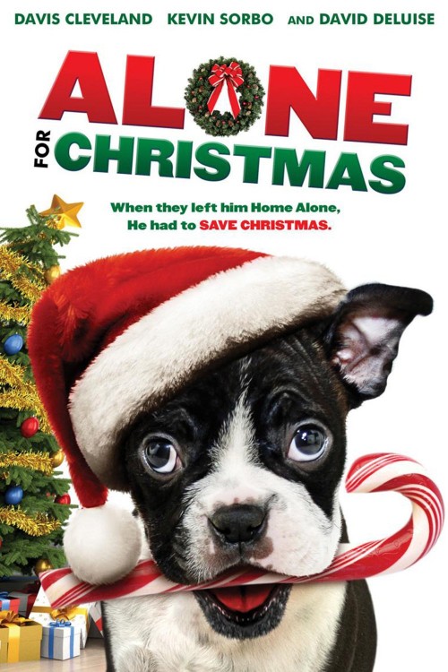 Alone for Christmas (2013) poster