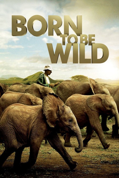 Born to Be Wild (2011) poster