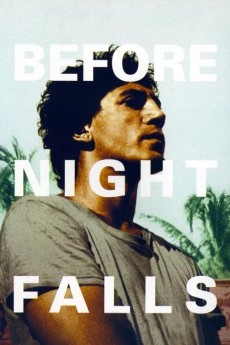 Before Night Falls (2000) poster