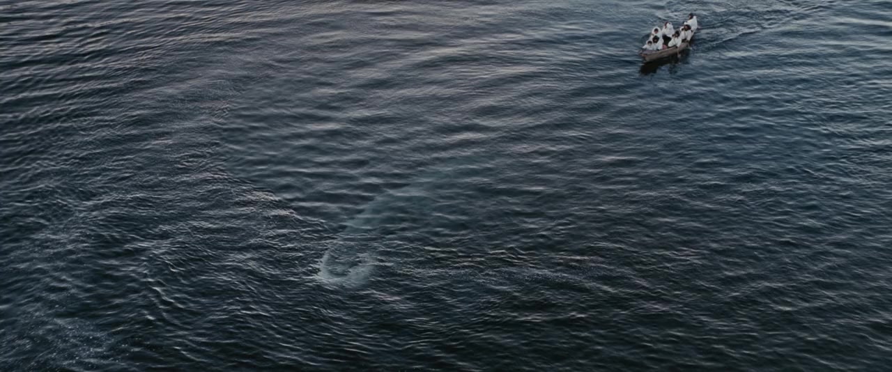 Big Miracle screenshot 2