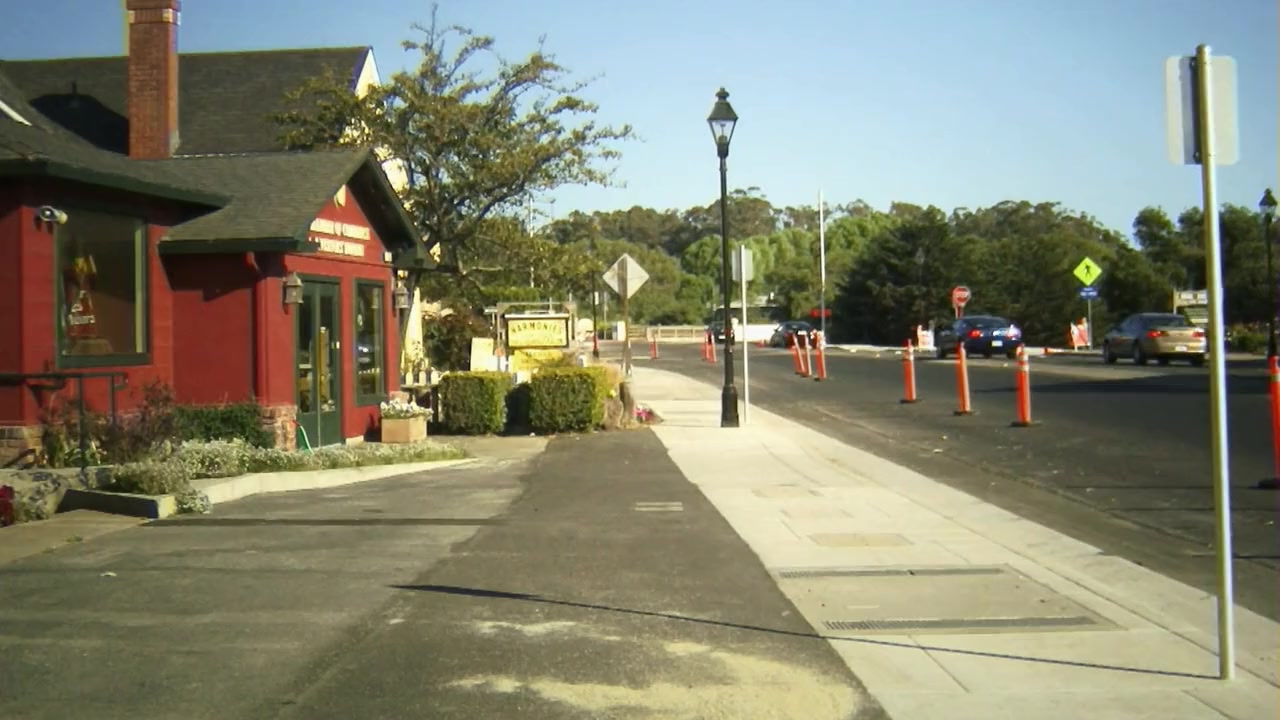 Birdemic: Shock and Terror screenshot 2