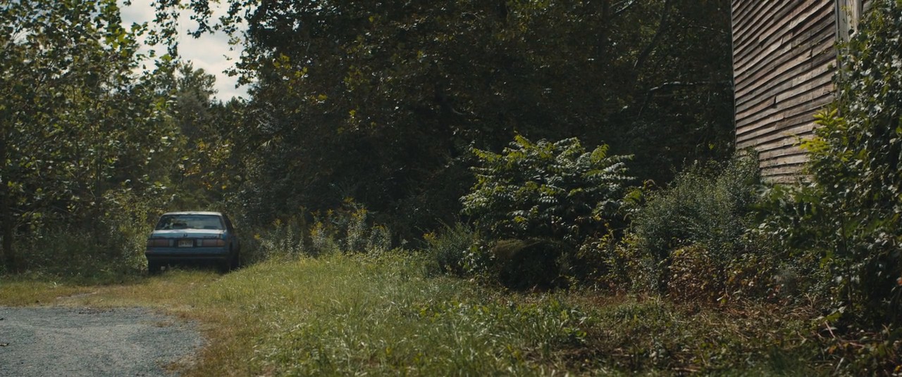 Blue Ruin screenshot 1