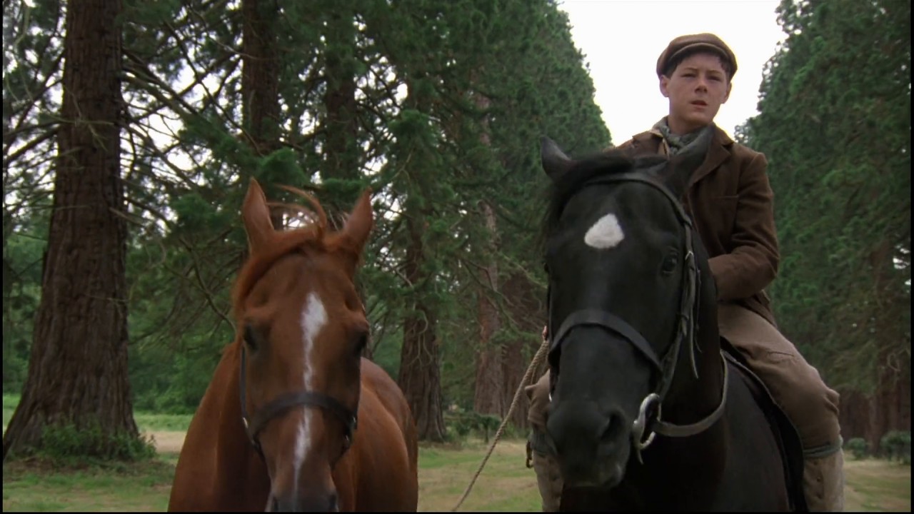 Black Beauty screenshot 1