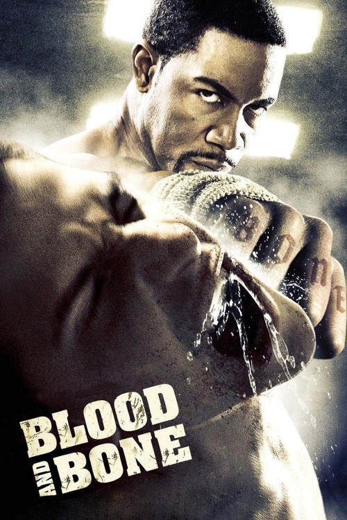 Blood and Bone (2009) poster