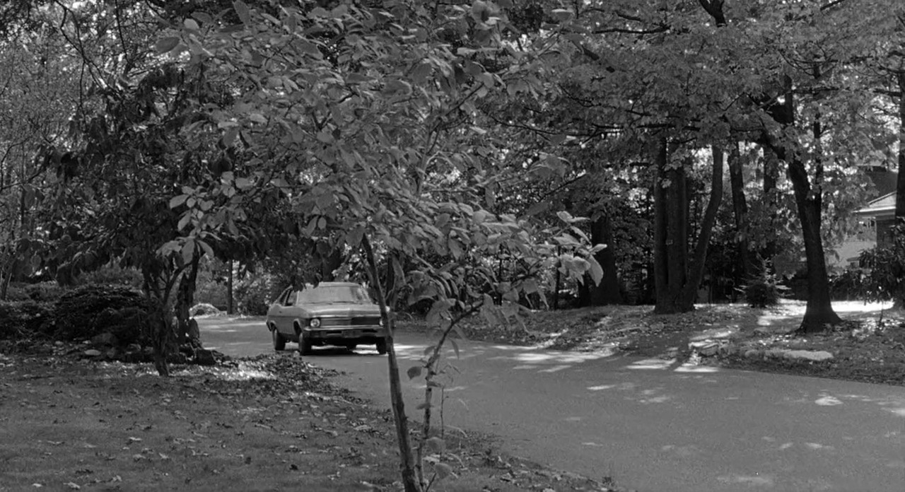 Broadway Danny Rose screenshot 2