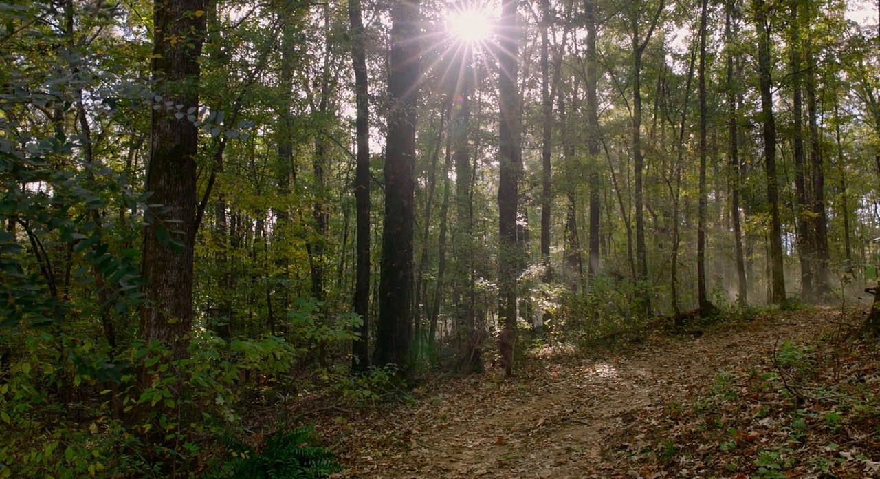 Get on Up screenshot 1