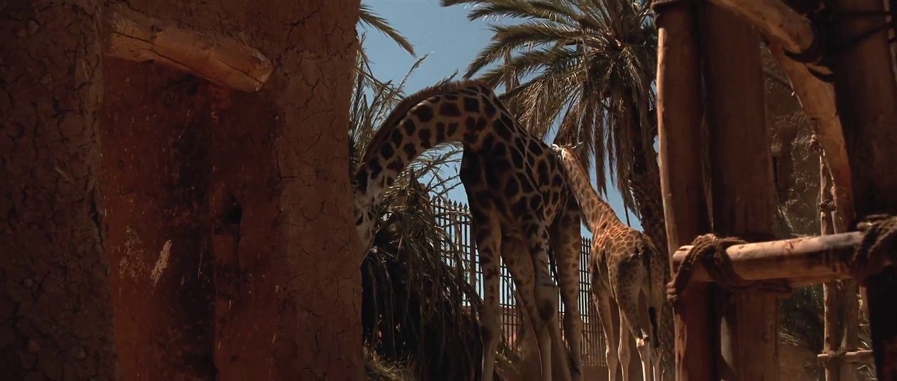 Gladiator screenshot 3