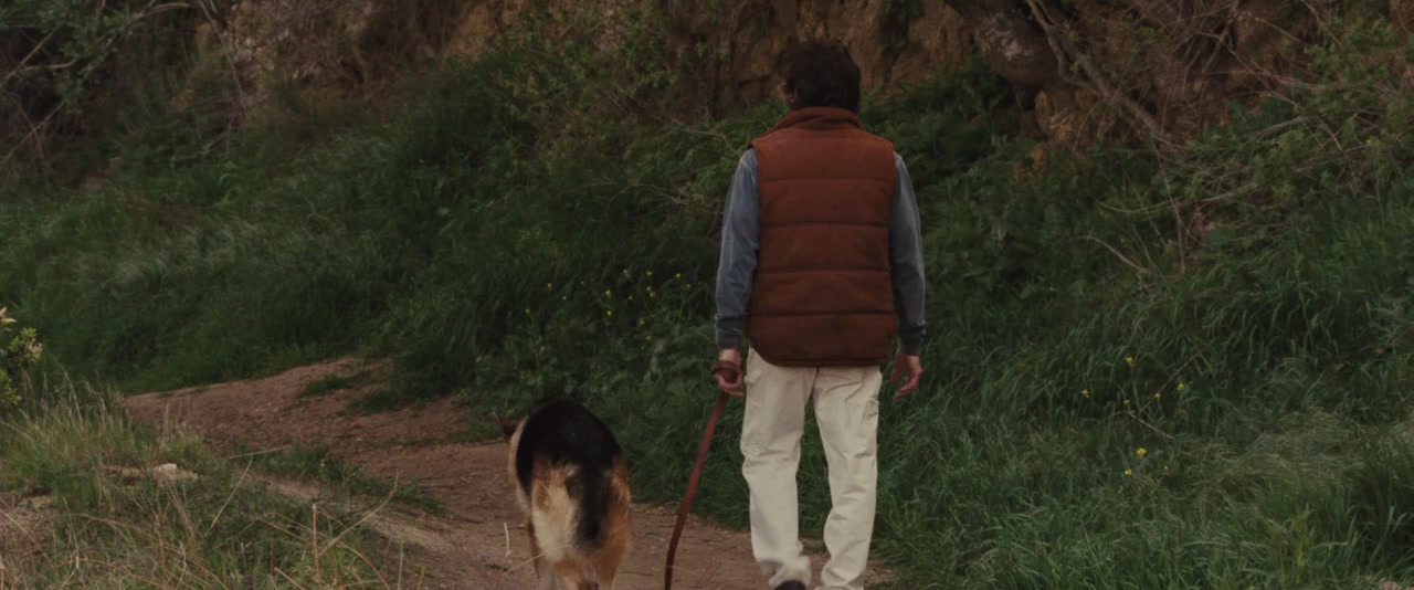Greenberg screenshot 1