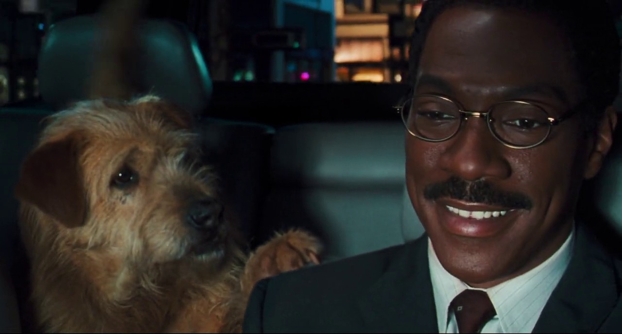Doctor Dolittle screenshot 2