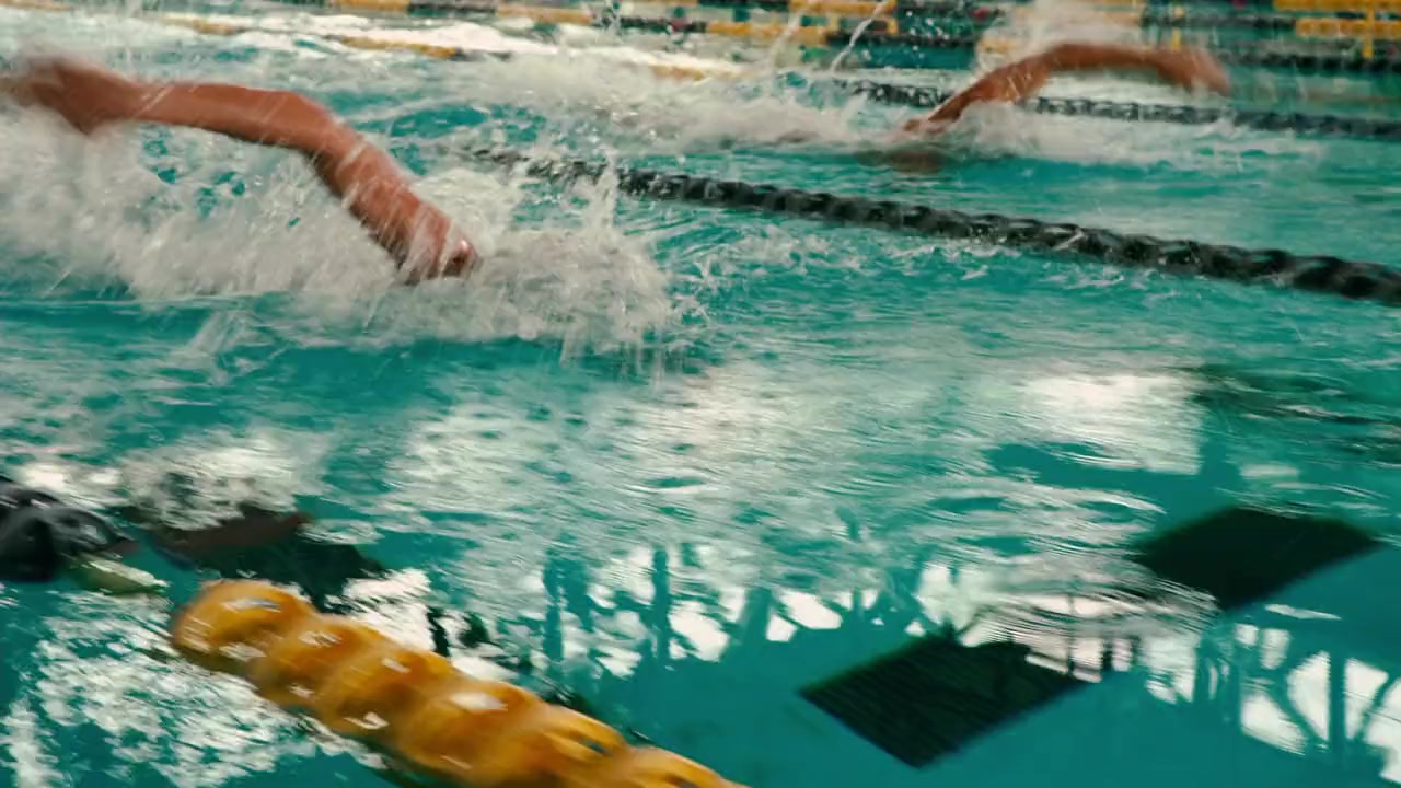 Dolphin Tale screenshot 3