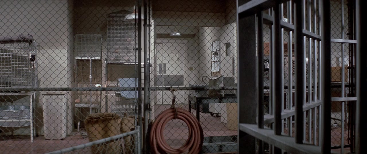 Escape from the Planet of the Apes screenshot 1