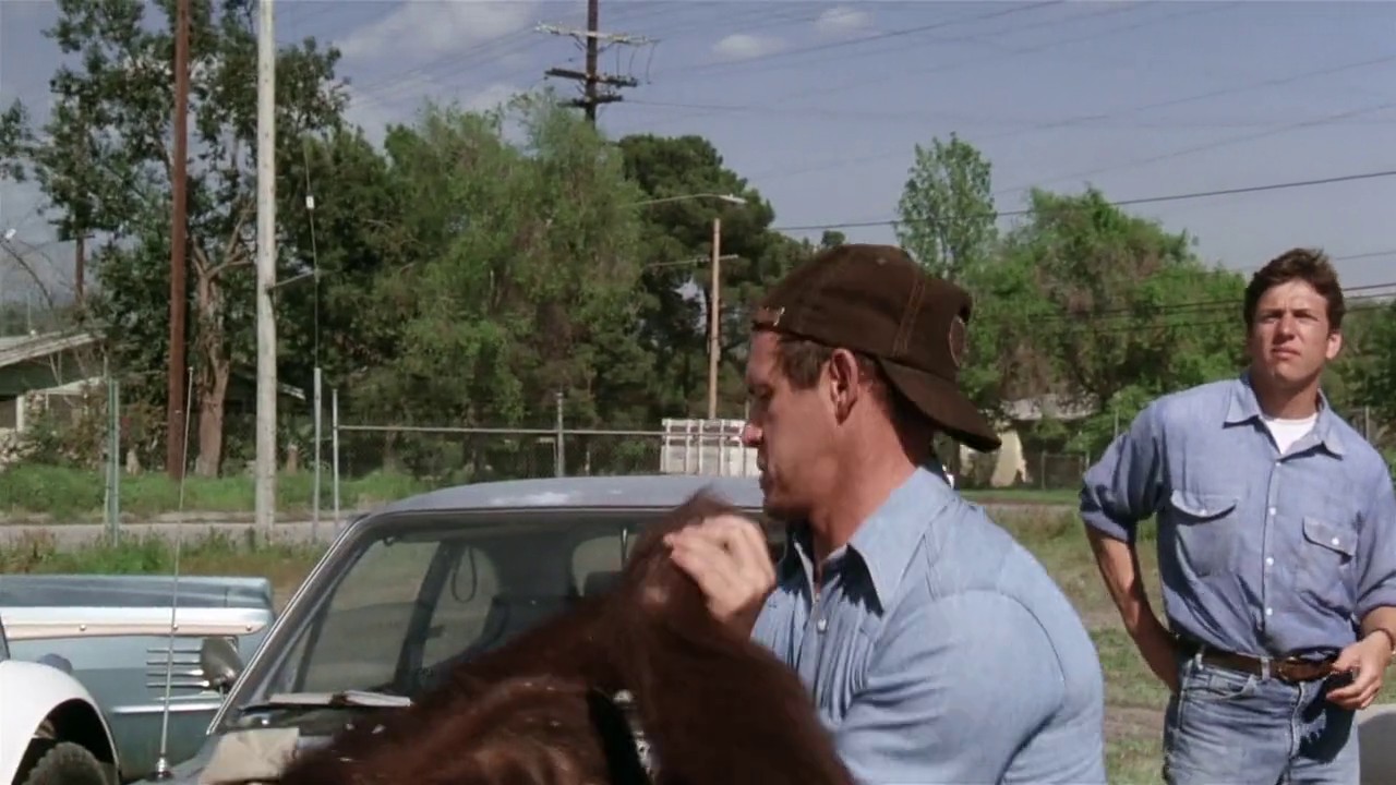 Every Which Way But Loose screenshot 1