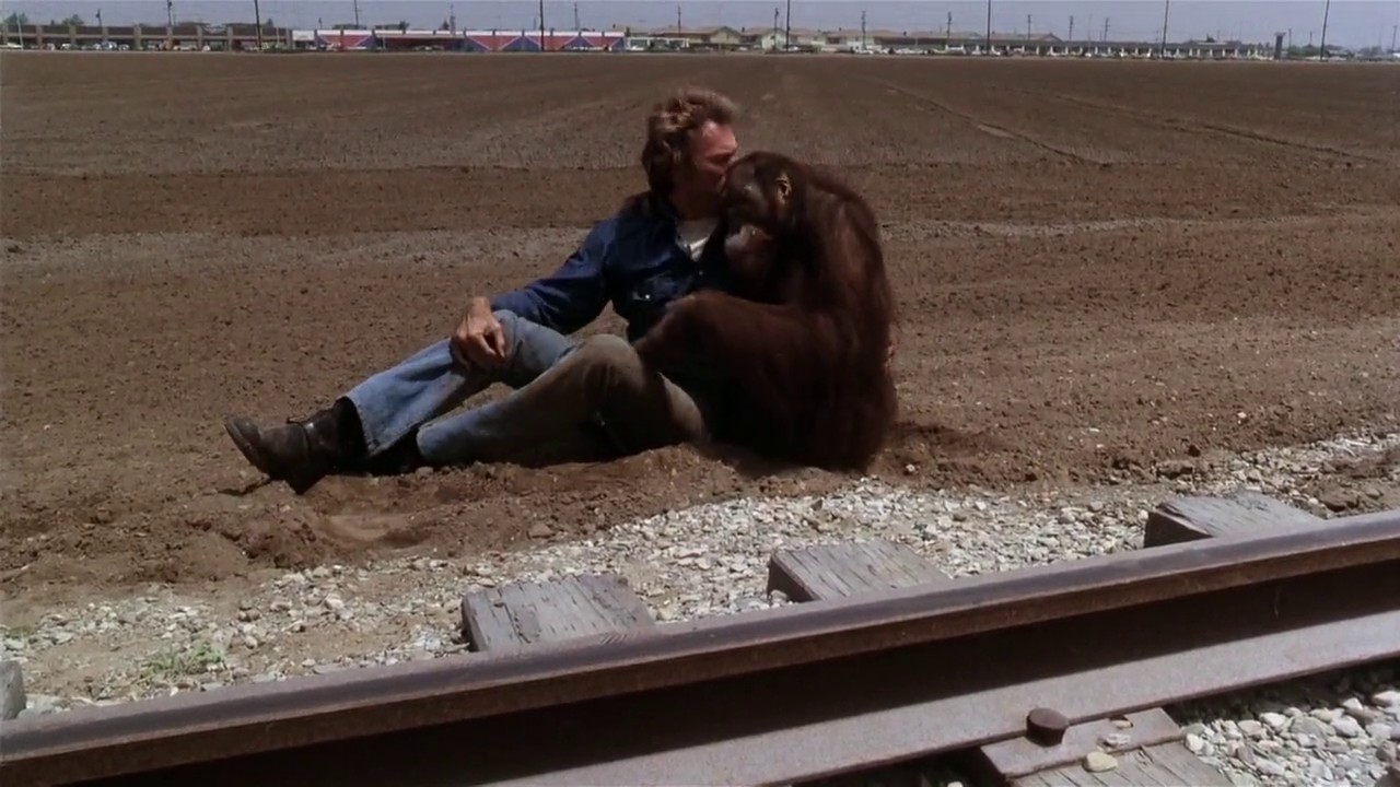 Every Which Way But Loose screenshot 2