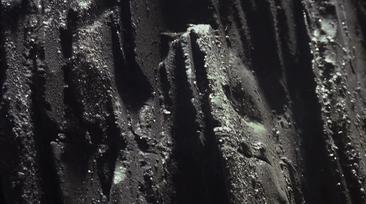 Evolution screenshot 1