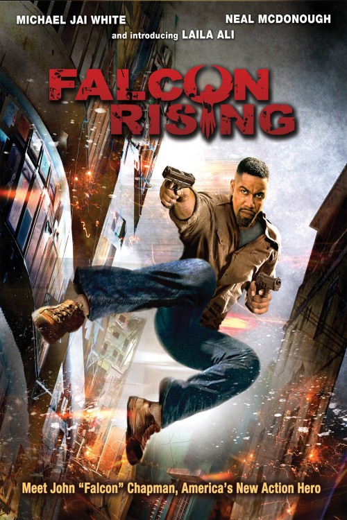 Falcon Rising (2014) poster