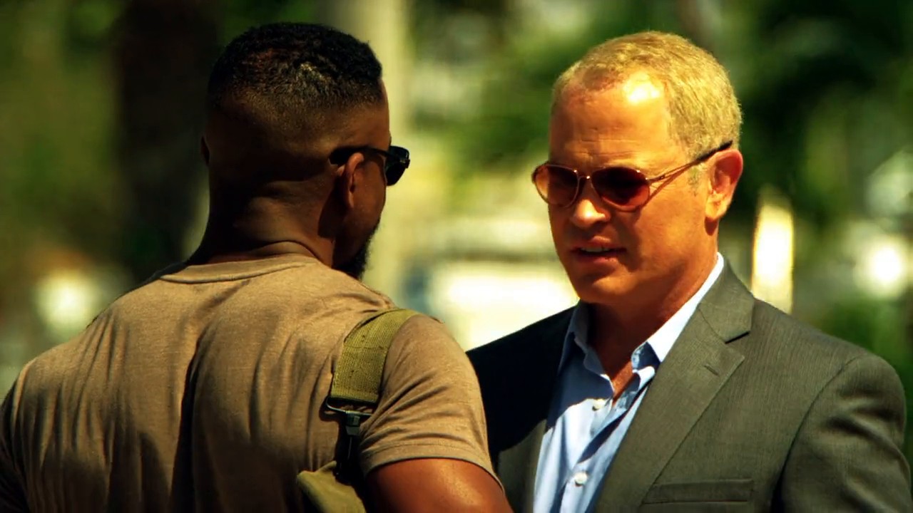 Falcon Rising screenshot 3