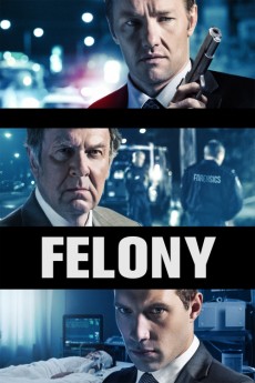 Felony (2013) poster