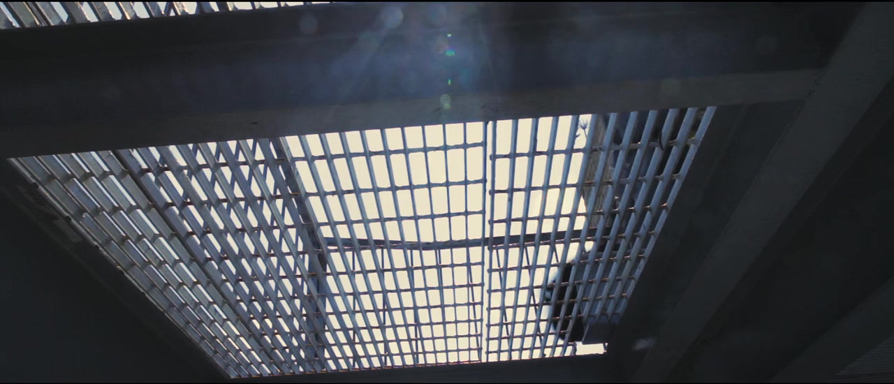 Flypaper screenshot 1