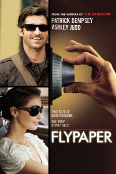 Flypaper (2011) poster