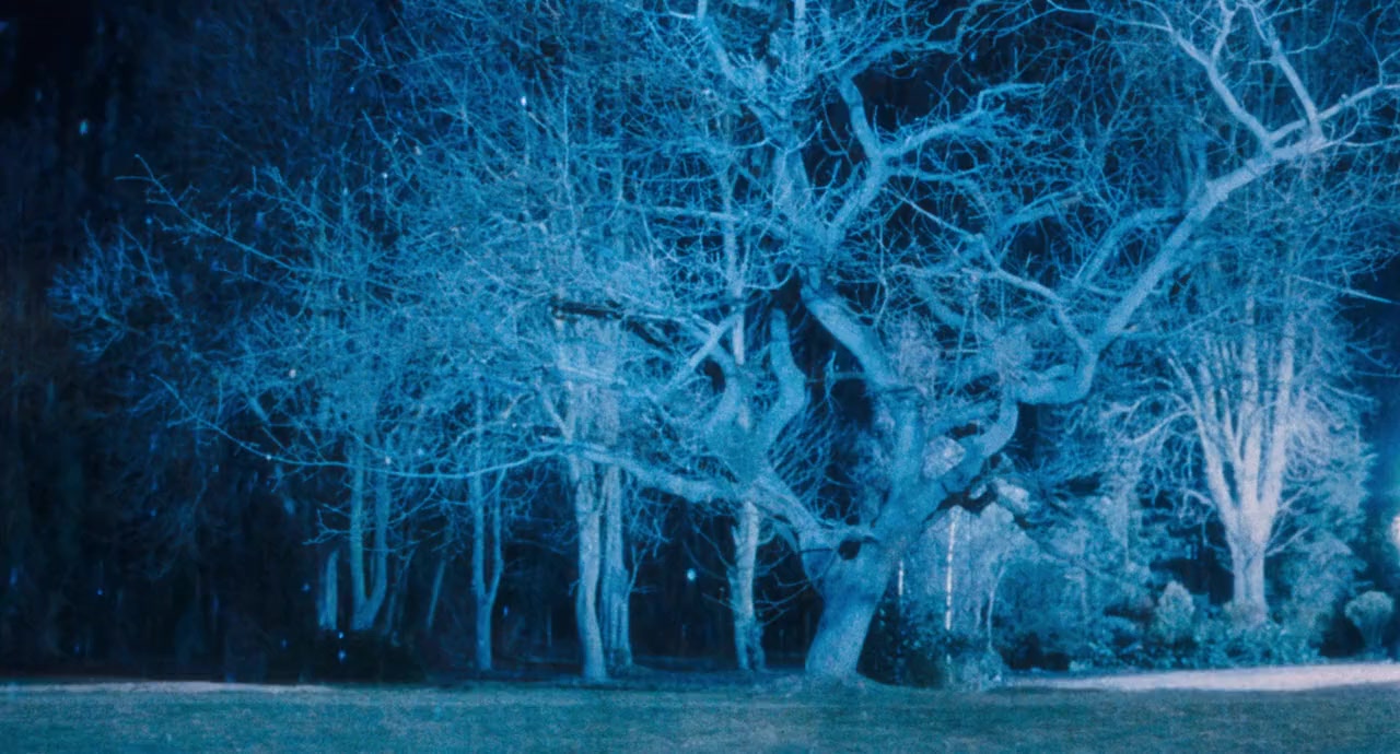 Mary Shelley's Frankenstein screenshot 1