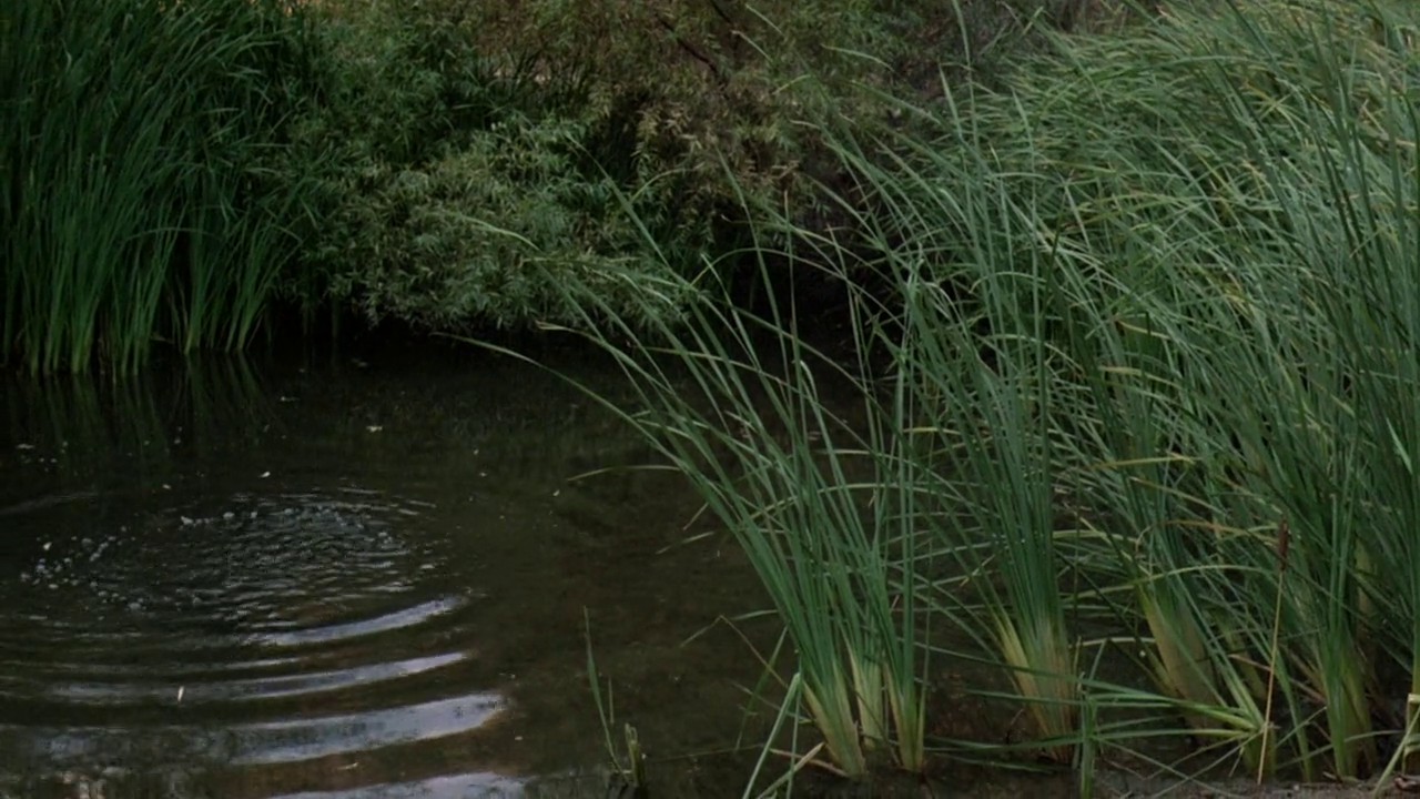 Friday the 13th: A New Beginning screenshot 3