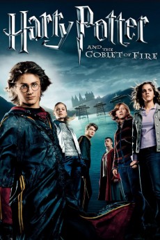 Harry Potter and the Goblet of Fire (2005) poster