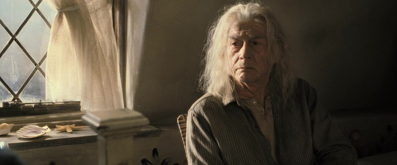 Harry Potter and the Deathly Hallows: Part 2 screenshot 2