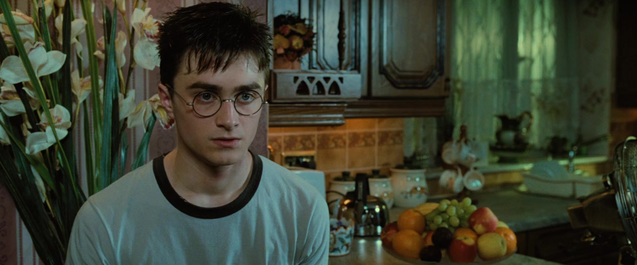 Harry Potter and the Order of the Phoenix screenshot 2