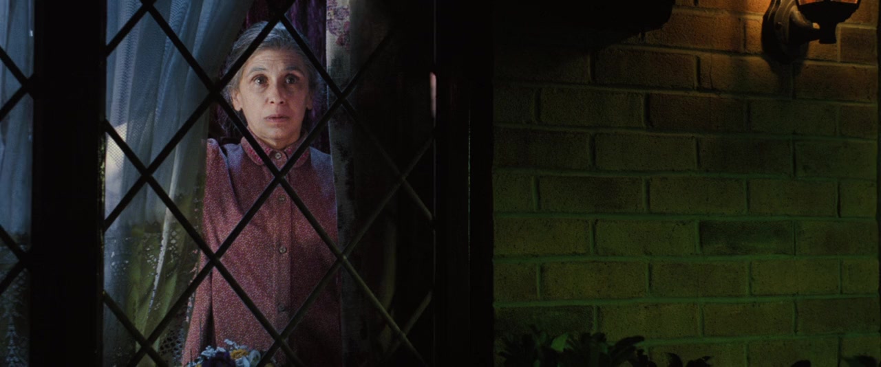 Harry Potter and the Order of the Phoenix screenshot 3
