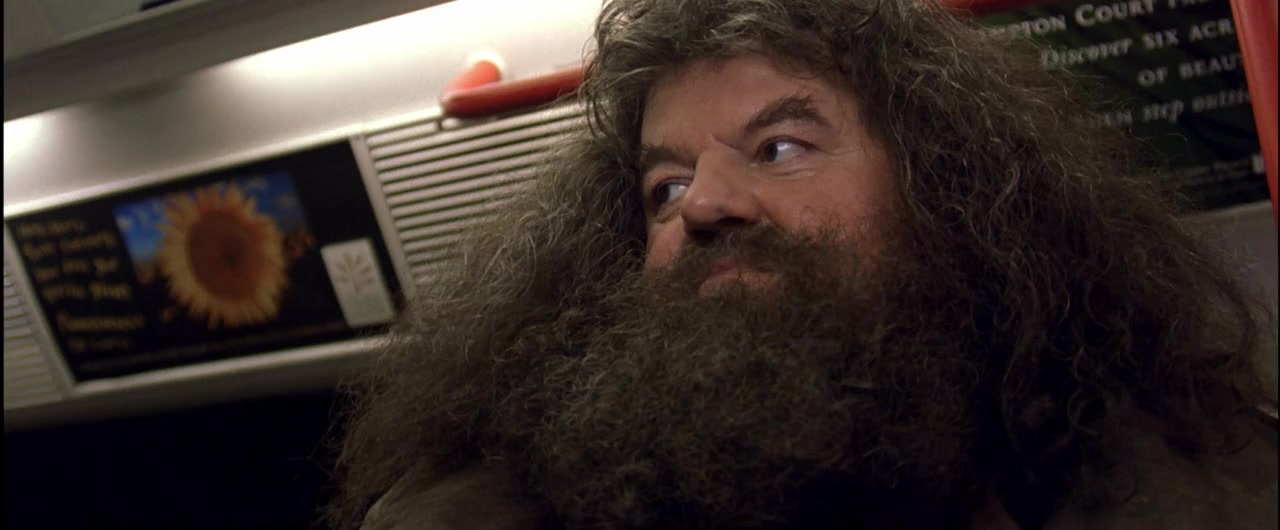 Harry Potter and the Philosopher's Stone screenshot 3