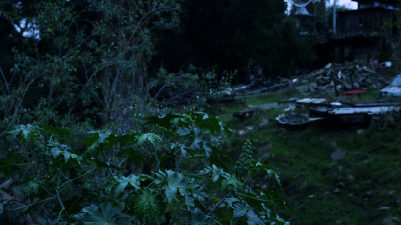 Quarantine L.A. screenshot 2