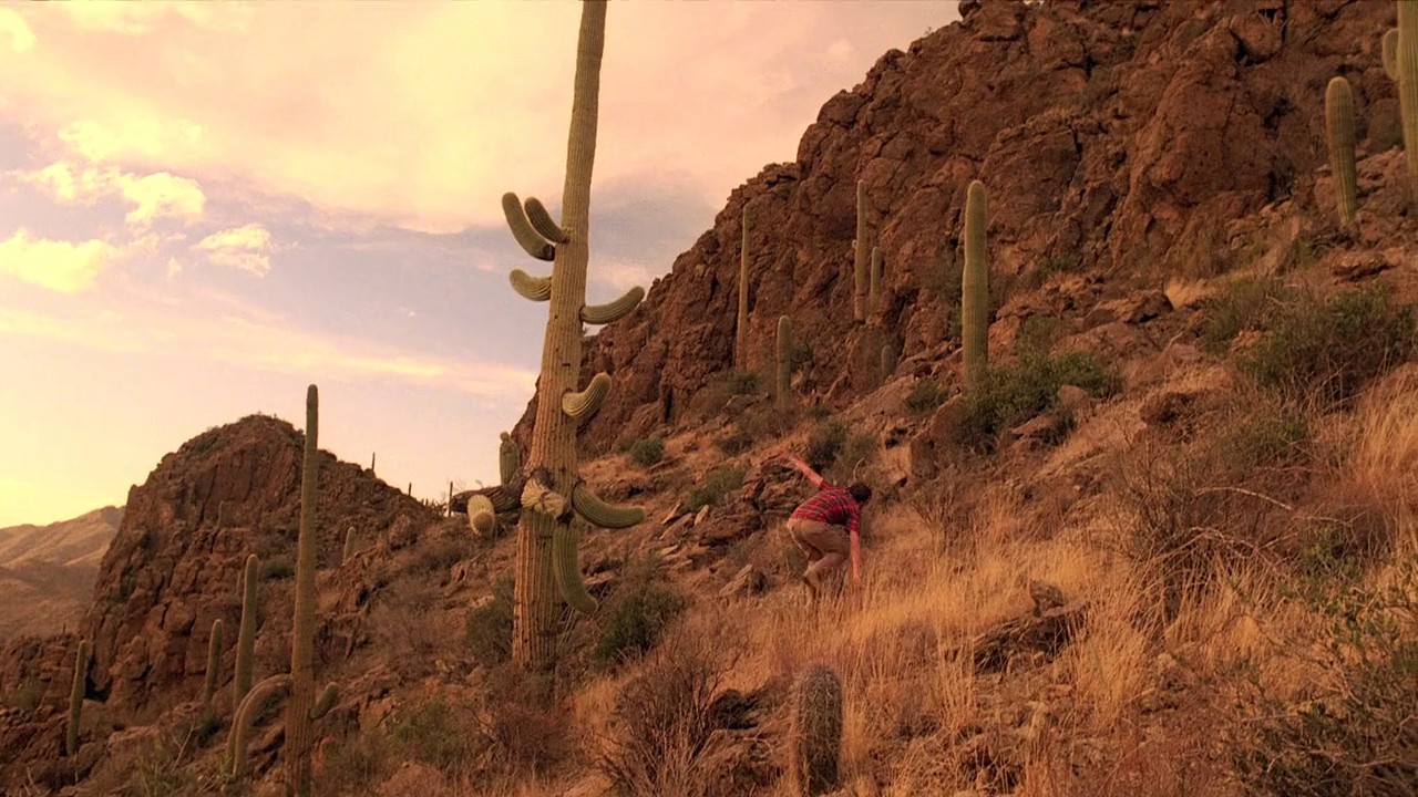 Ingenious screenshot 3