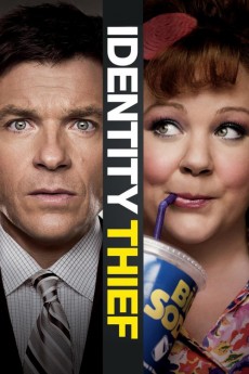 Identity Thief (2013) poster
