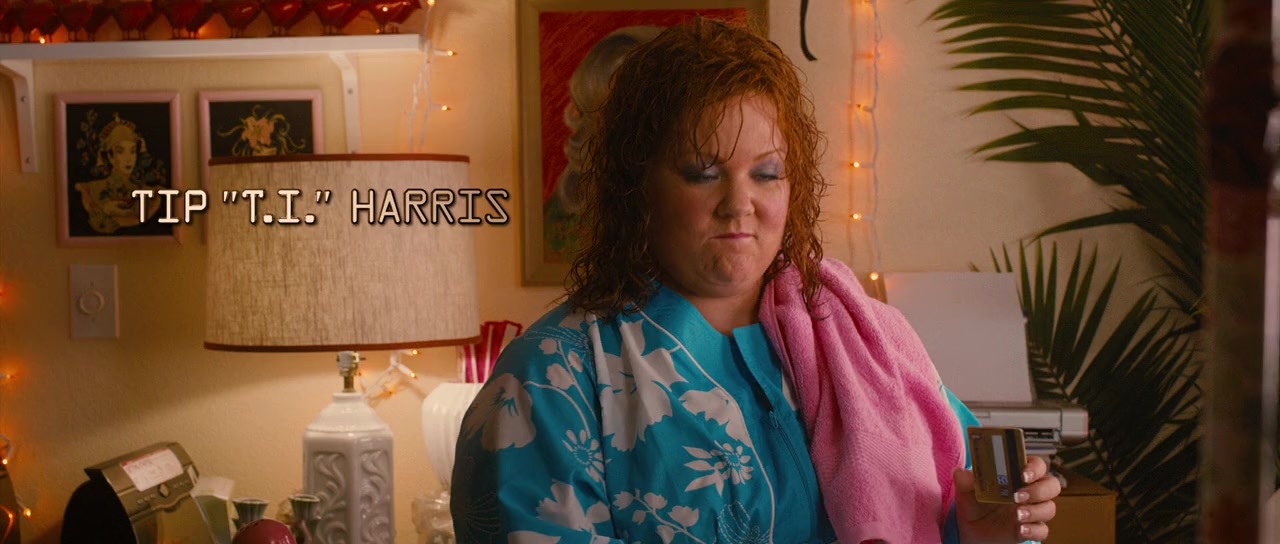 Identity Thief screenshot 3