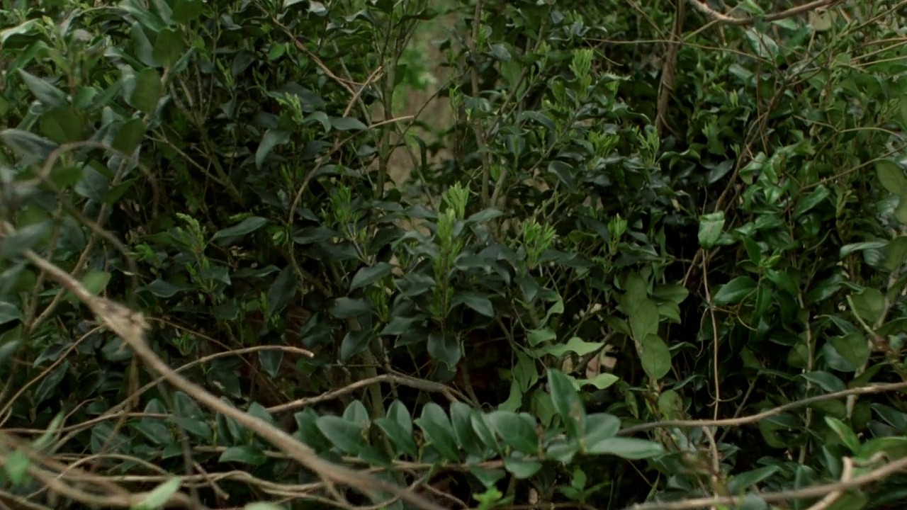 Jason Lives: Friday the 13th Part VI screenshot 2