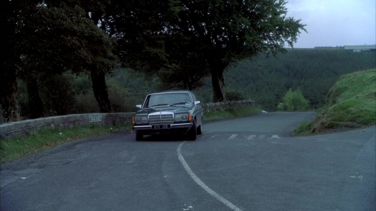 Ordinary Decent Criminal screenshot 3
