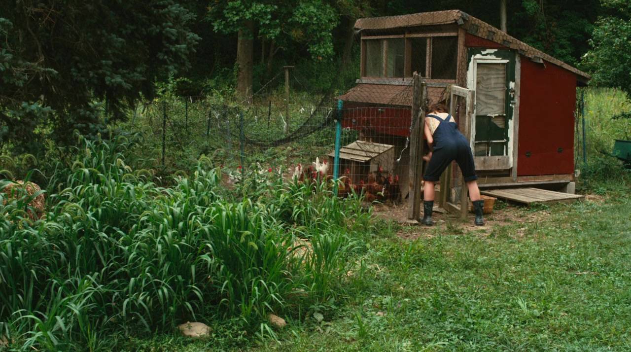 Our Idiot Brother screenshot 1