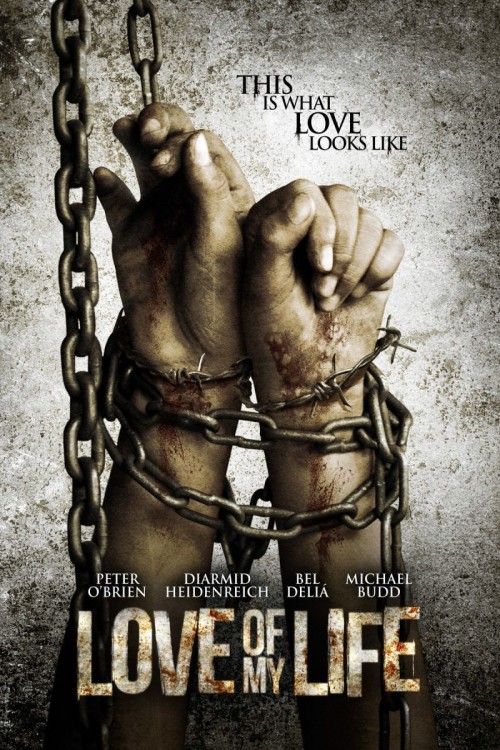 Love of My Life (2013) poster