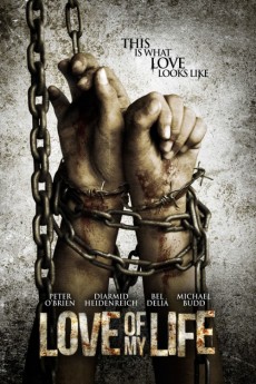 Love of My Life (2013) poster