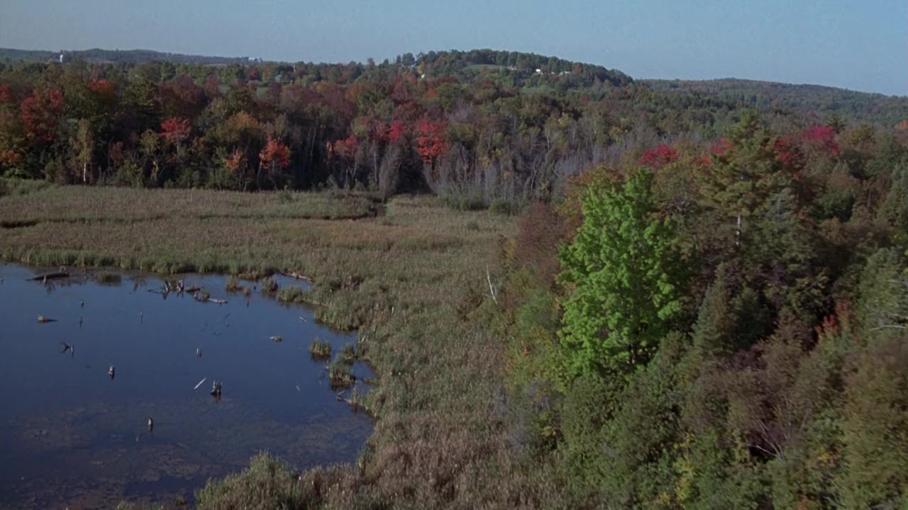 Lake Placid 3 screenshot 2