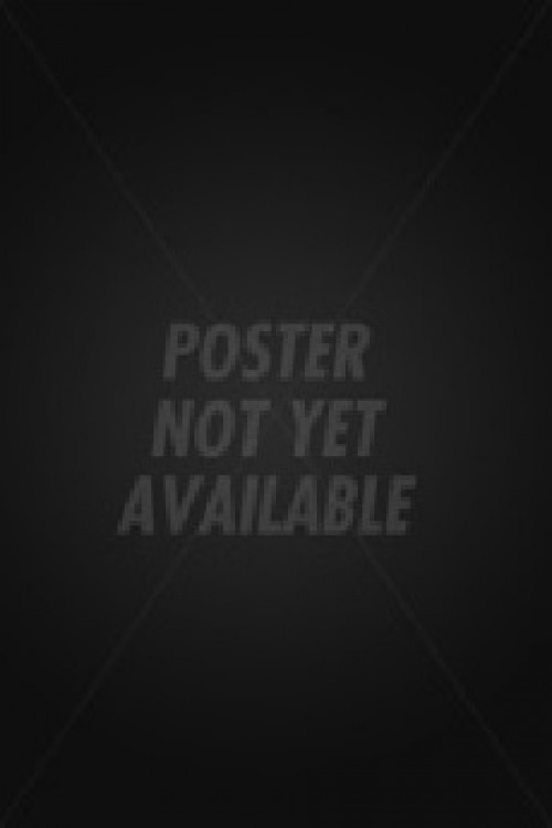 Last Kung Fu Monk (2010) poster